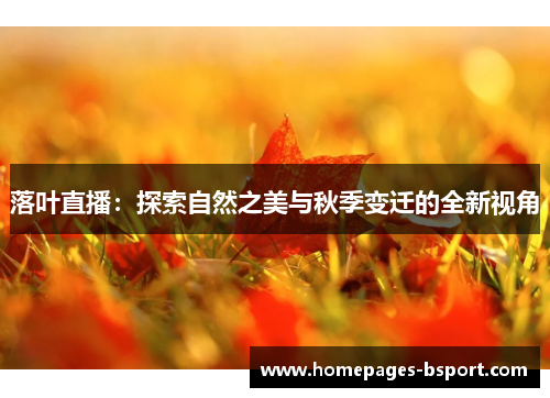 落叶直播：探索自然之美与秋季变迁的全新视角