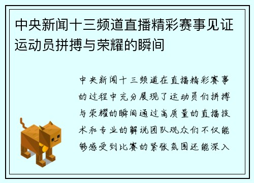 中央新闻十三频道直播精彩赛事见证运动员拼搏与荣耀的瞬间
